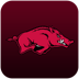 Arkansas Razorbacks for iPad